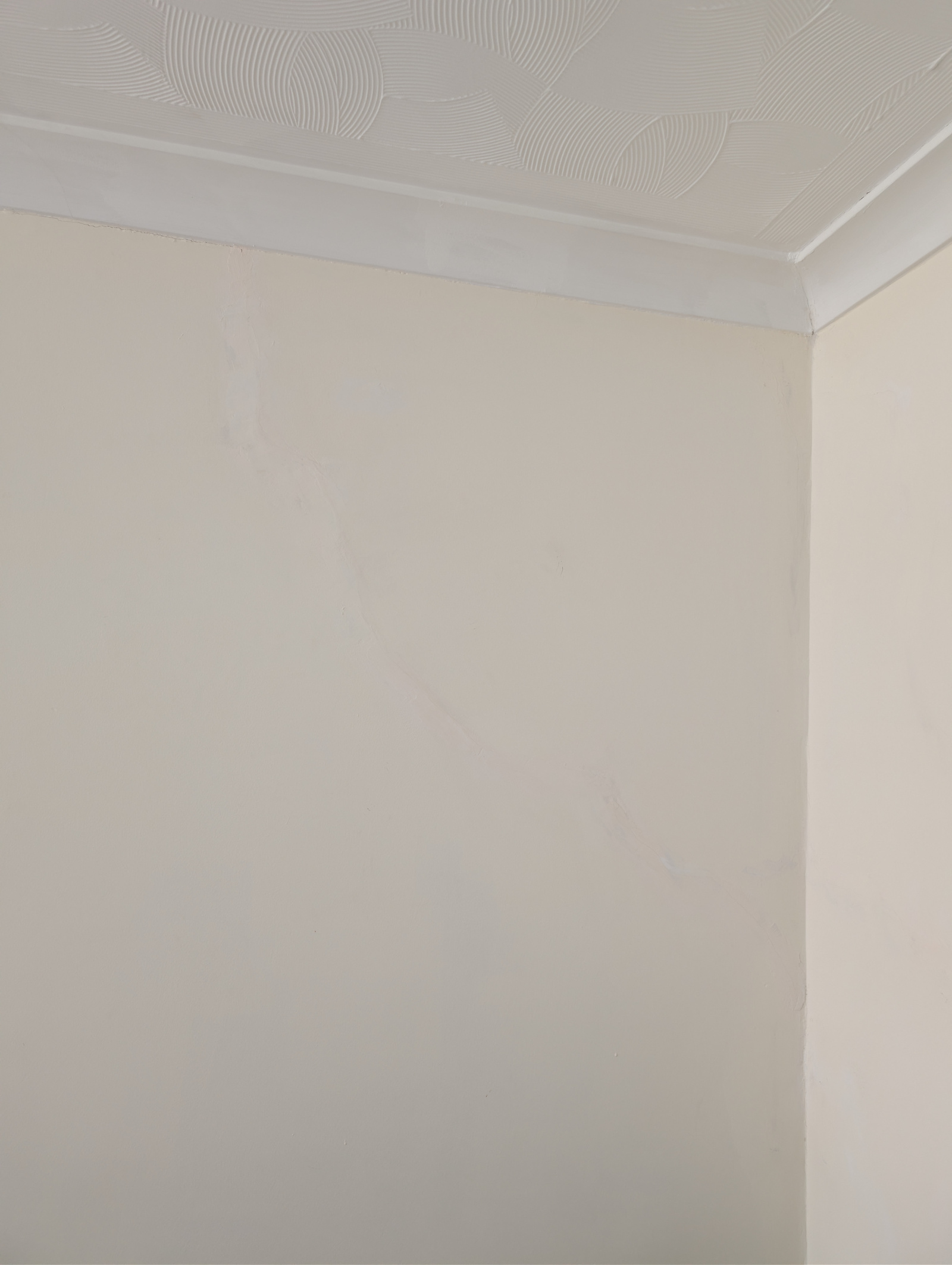 PXL_20260501_134040715.RAW-01 (1).jpg