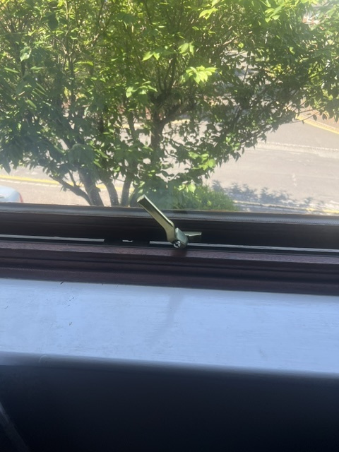 IMG_0749.jpeg