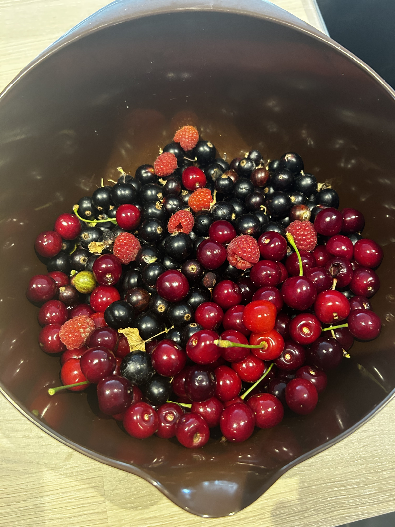 IMG_7798.jpeg