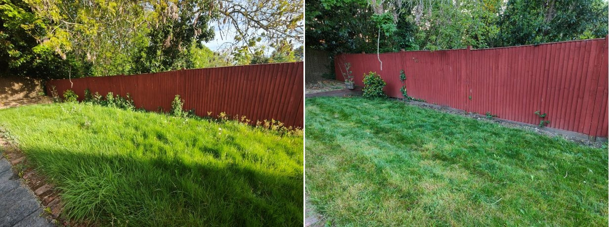 IMG20260425200647 before and after.jpg
