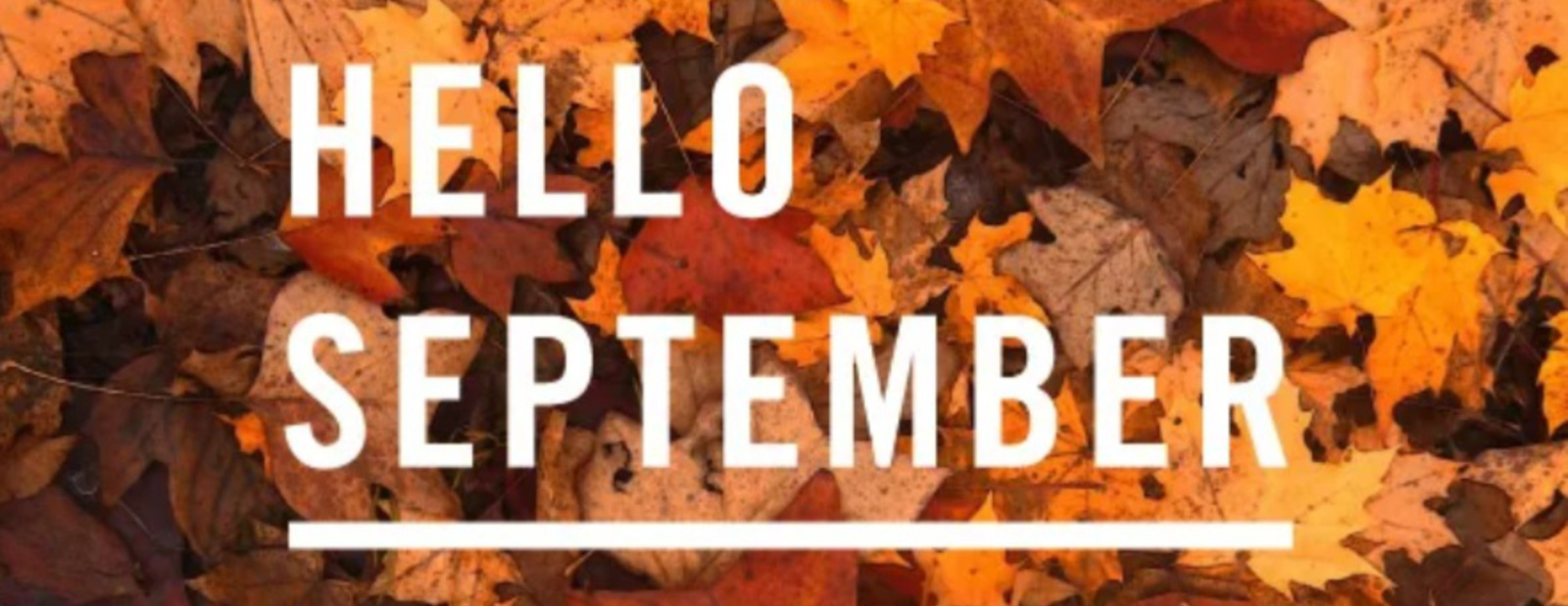 Hello September cropped.jpg