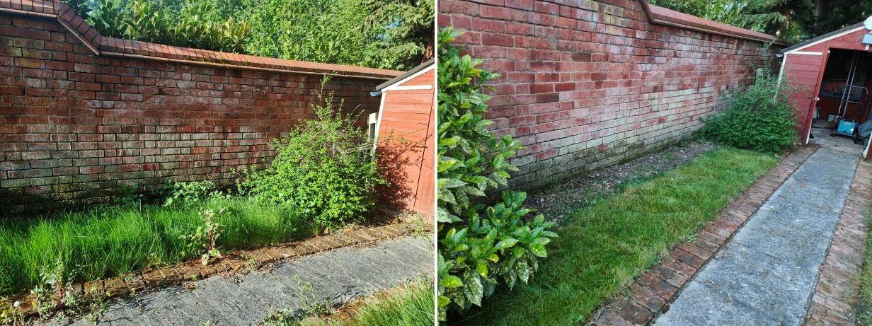 IMG20260425081059 before and after.jpg