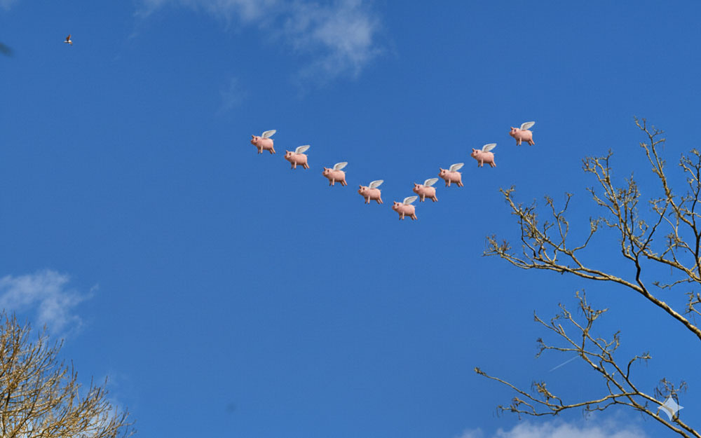 flying-pigs.jpg