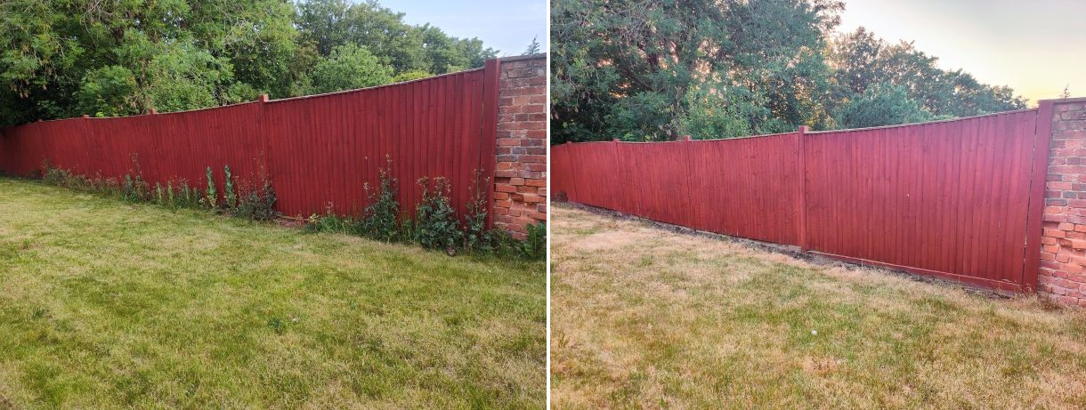 garden before and after.jpg