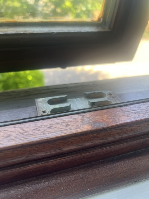IMG_0750.jpeg