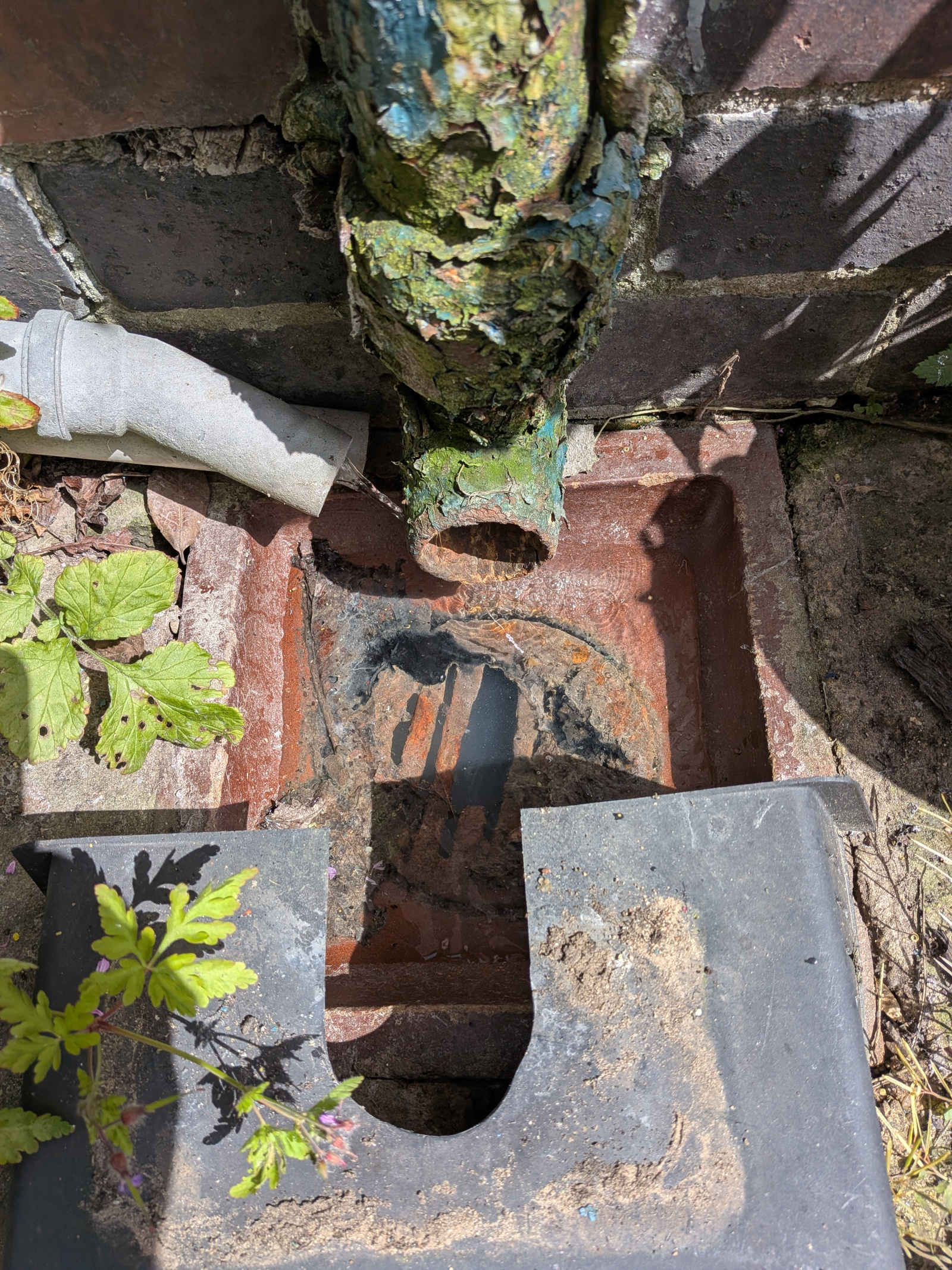 Back drainage grate.jpg