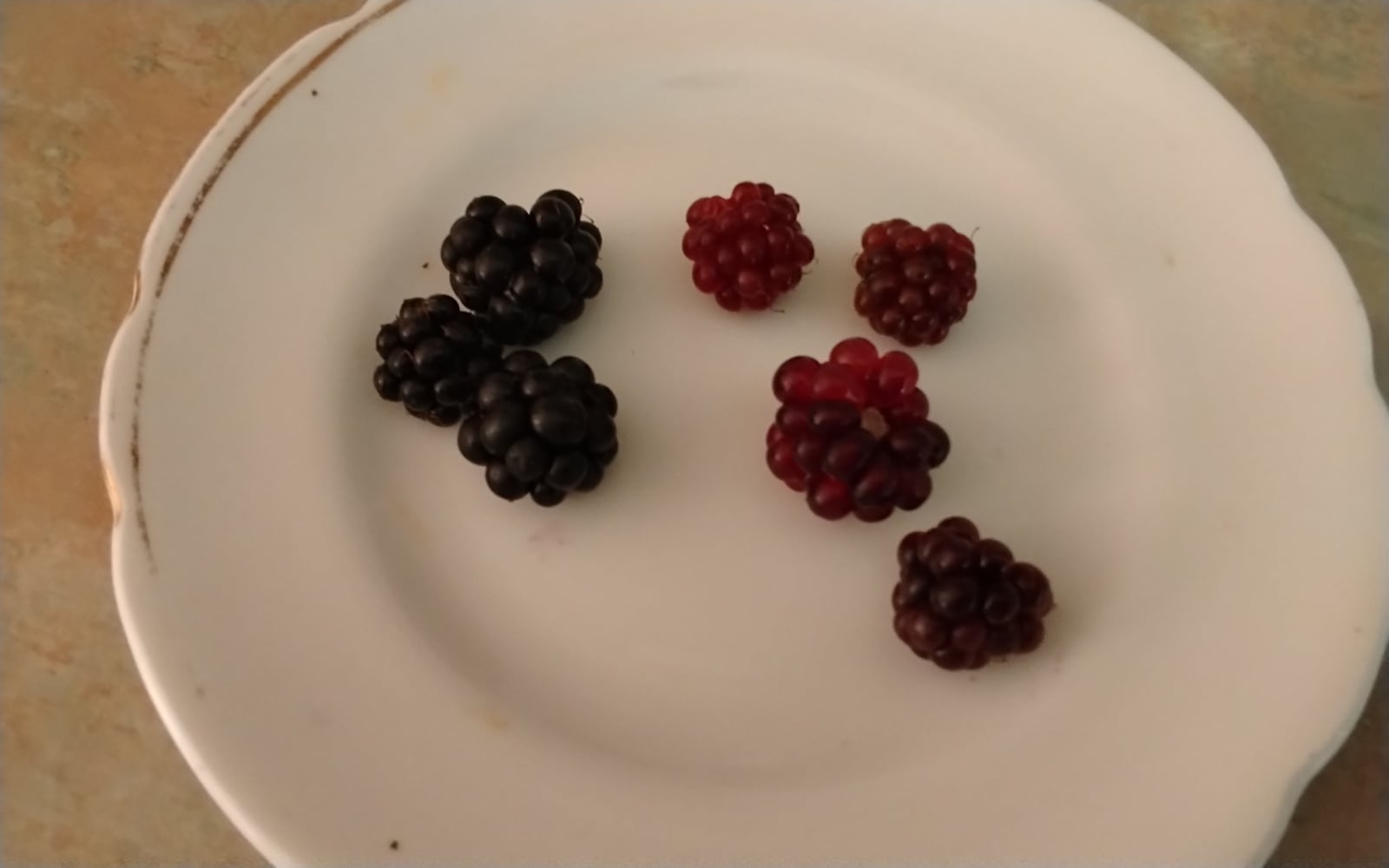 1000011280.jpg
