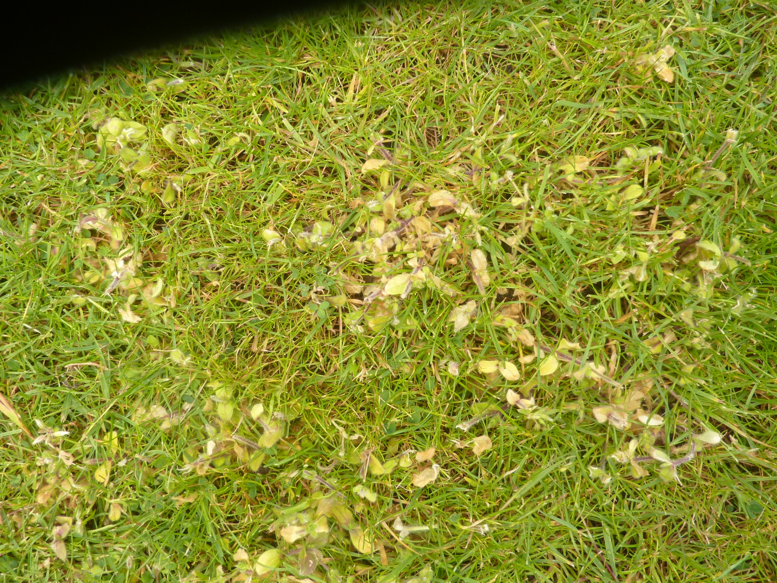 P1050595.JPG