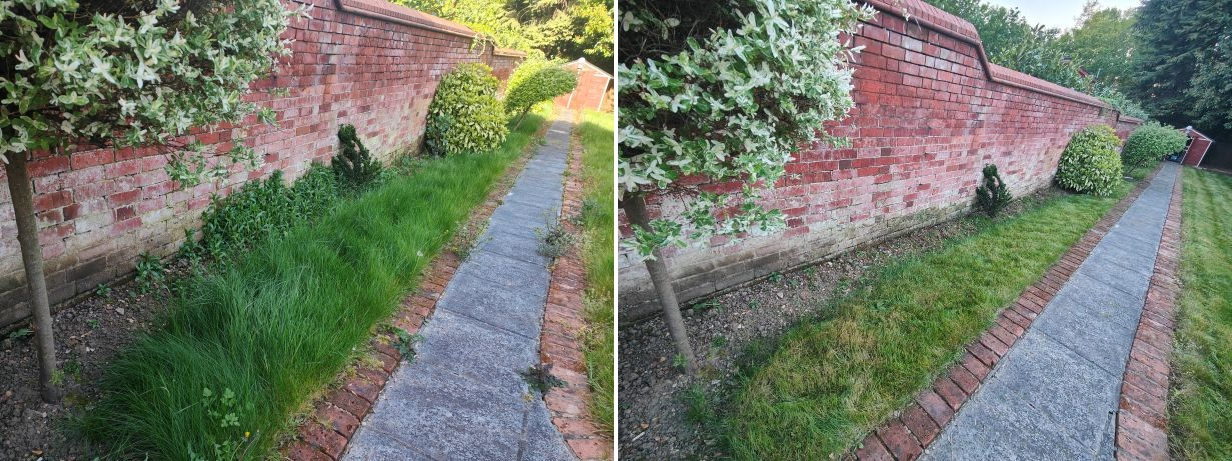 IMG20260425200549 before and after.jpg