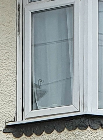 Image: https://us-noi.v-cdn.net/6031891/uploads/editor/0f/x5l4nq32u5hr.jpg