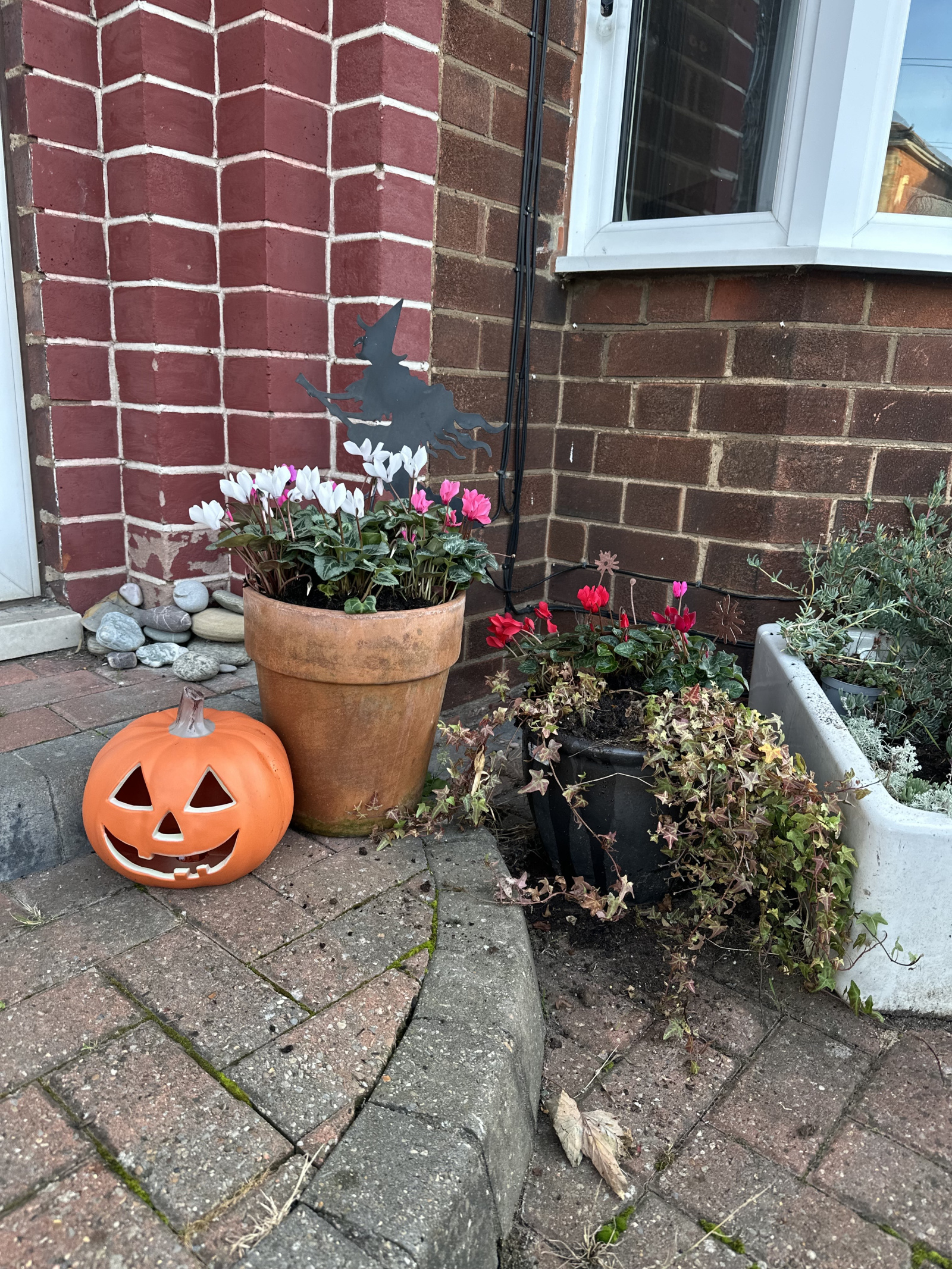 Image: https://us-noi.v-cdn.net/6031891/uploads/editor/0i/lzmk1n9kkyqh.jpeg