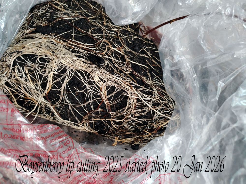 Image: https://us-noi.v-cdn.net/6031891/uploads/editor/0s/oo259wwr5rft.jpg