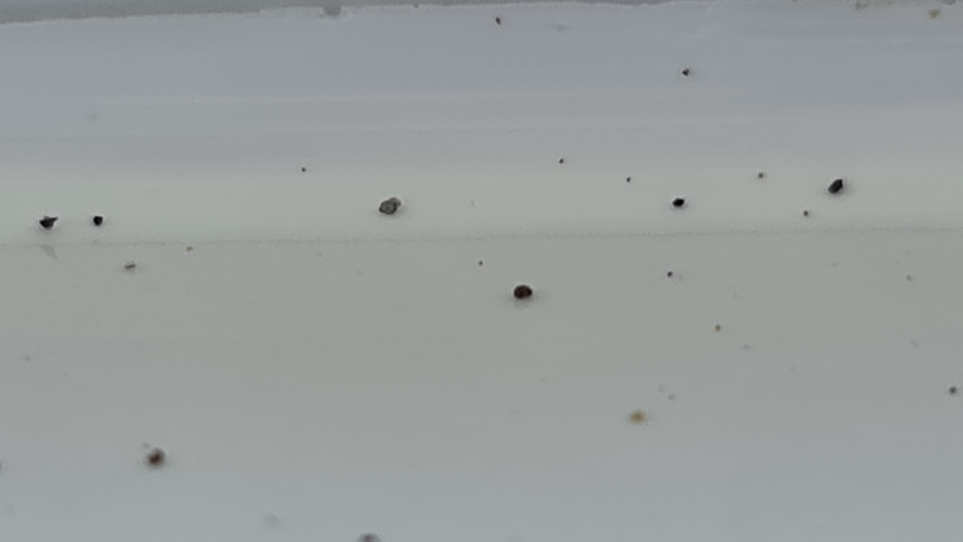 Image: https://us-noi.v-cdn.net/6031891/uploads/editor/1b/89gzecbpumpt.jpg