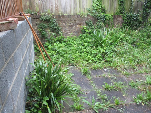 Image: https://us-noi.v-cdn.net/6031891/uploads/editor/2i/3xjwxix3rzc0.jpg