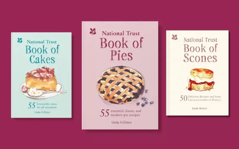 Image: https://us-noi.v-cdn.net/6031891/uploads/editor/2o/ojeiw8zv9u8s.png