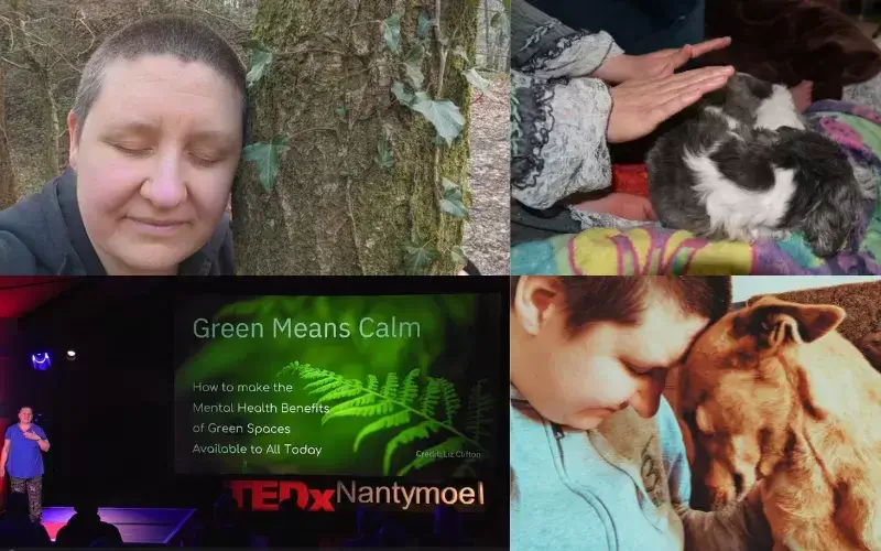 Image: https://us-noi.v-cdn.net/6031891/uploads/editor/2x/jy69m6i313wk.png