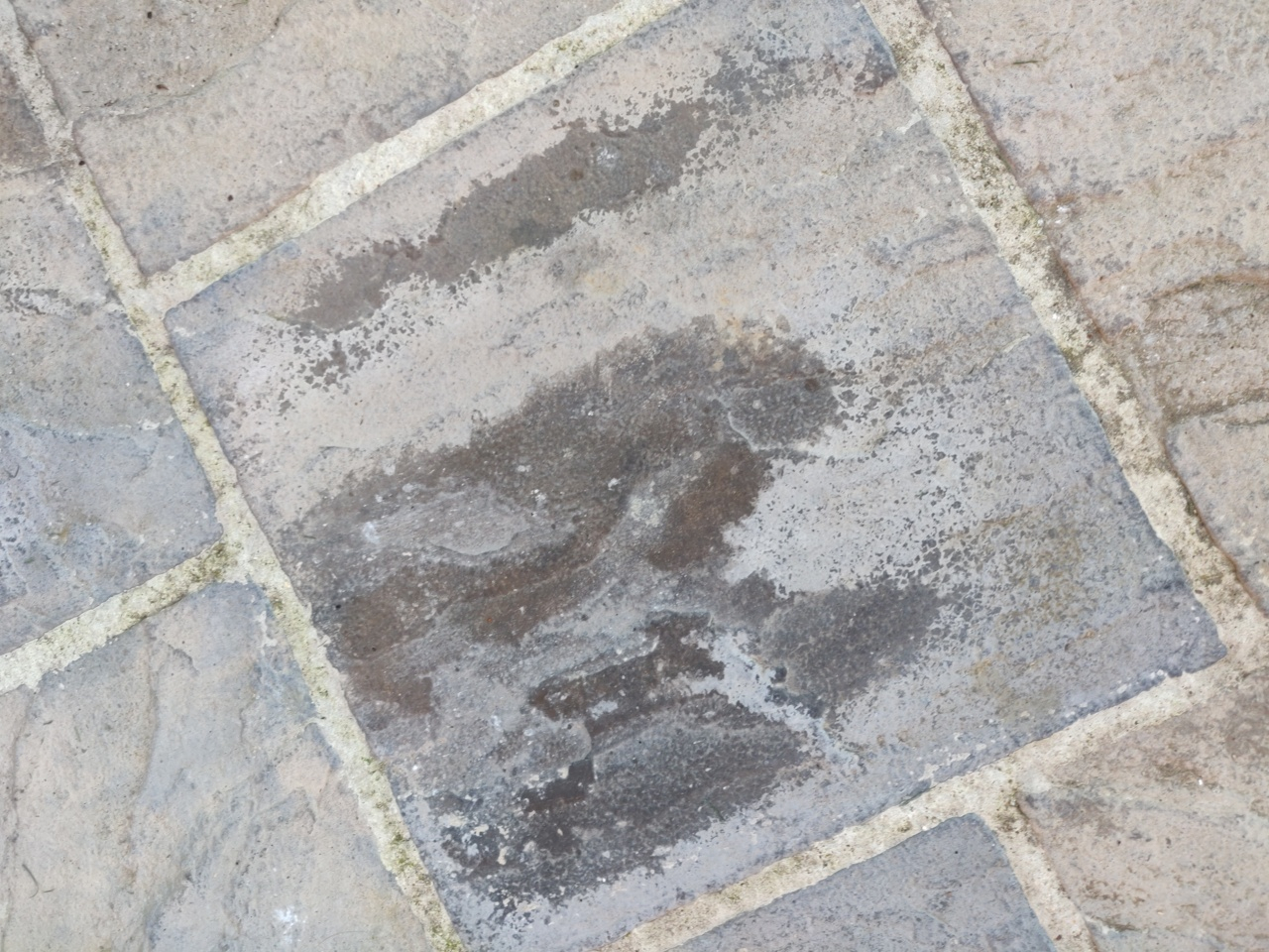 Image: https://us-noi.v-cdn.net/6031891/uploads/editor/3y/5medobptk1lu.jpg