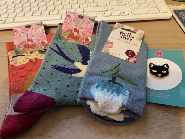 Image: https://us-noi.v-cdn.net/6031891/uploads/editor/5b/j9qnlp9m45fw.jpg