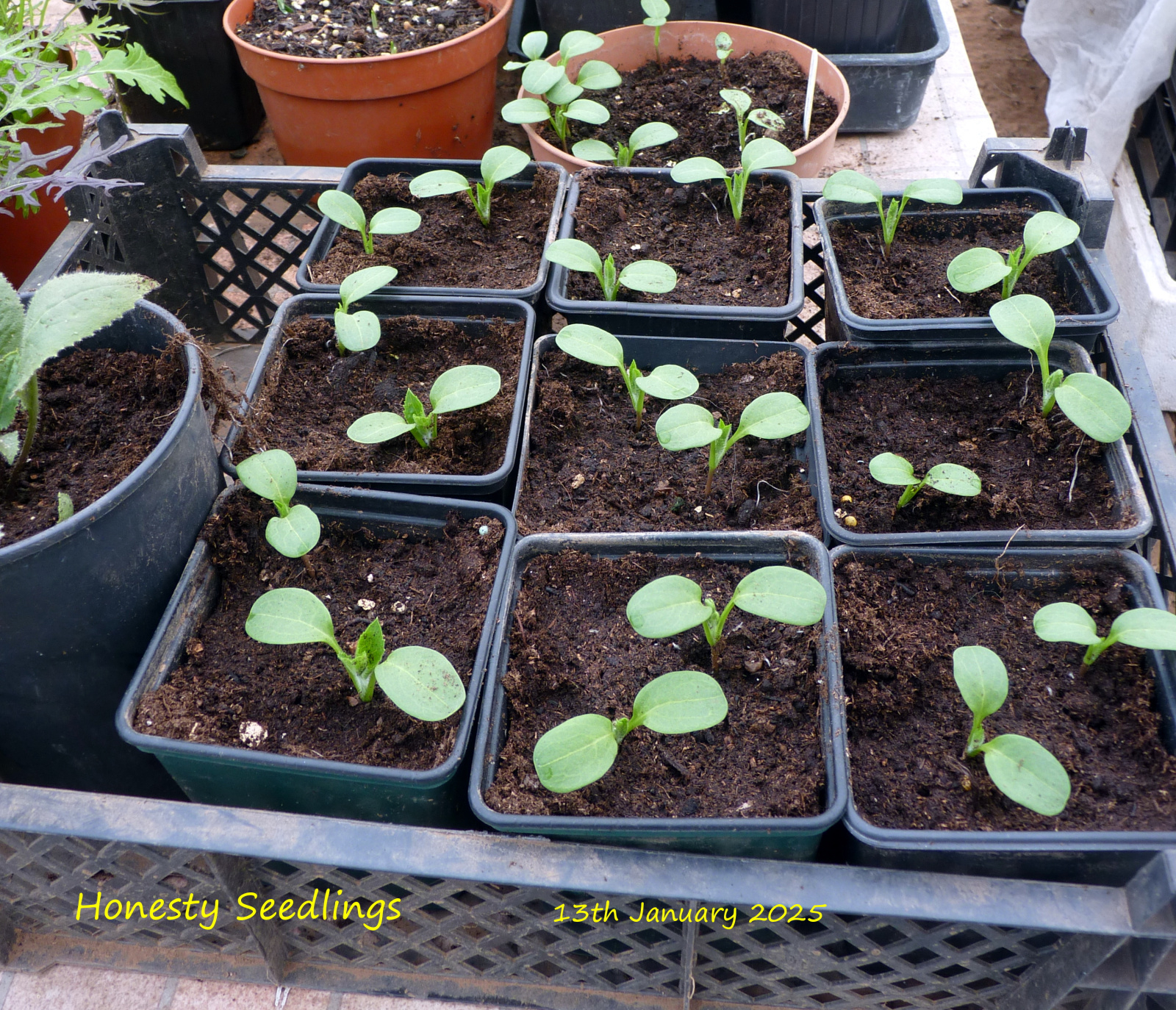 Image: https://us-noi.v-cdn.net/6031891/uploads/editor/5g/esbzug9wpjwb.jpg