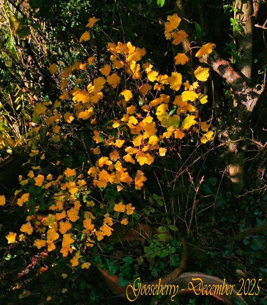 Image: https://us-noi.v-cdn.net/6031891/uploads/editor/5o/b7yp0sumazrx.jpg