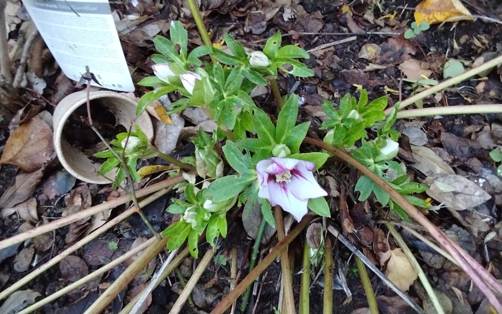 Image: https://us-noi.v-cdn.net/6031891/uploads/editor/5p/j2jgir2xcwq2.jpg