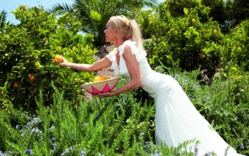 Image: https://us-noi.v-cdn.net/6031891/uploads/editor/67/1xtce0idwi7m.png