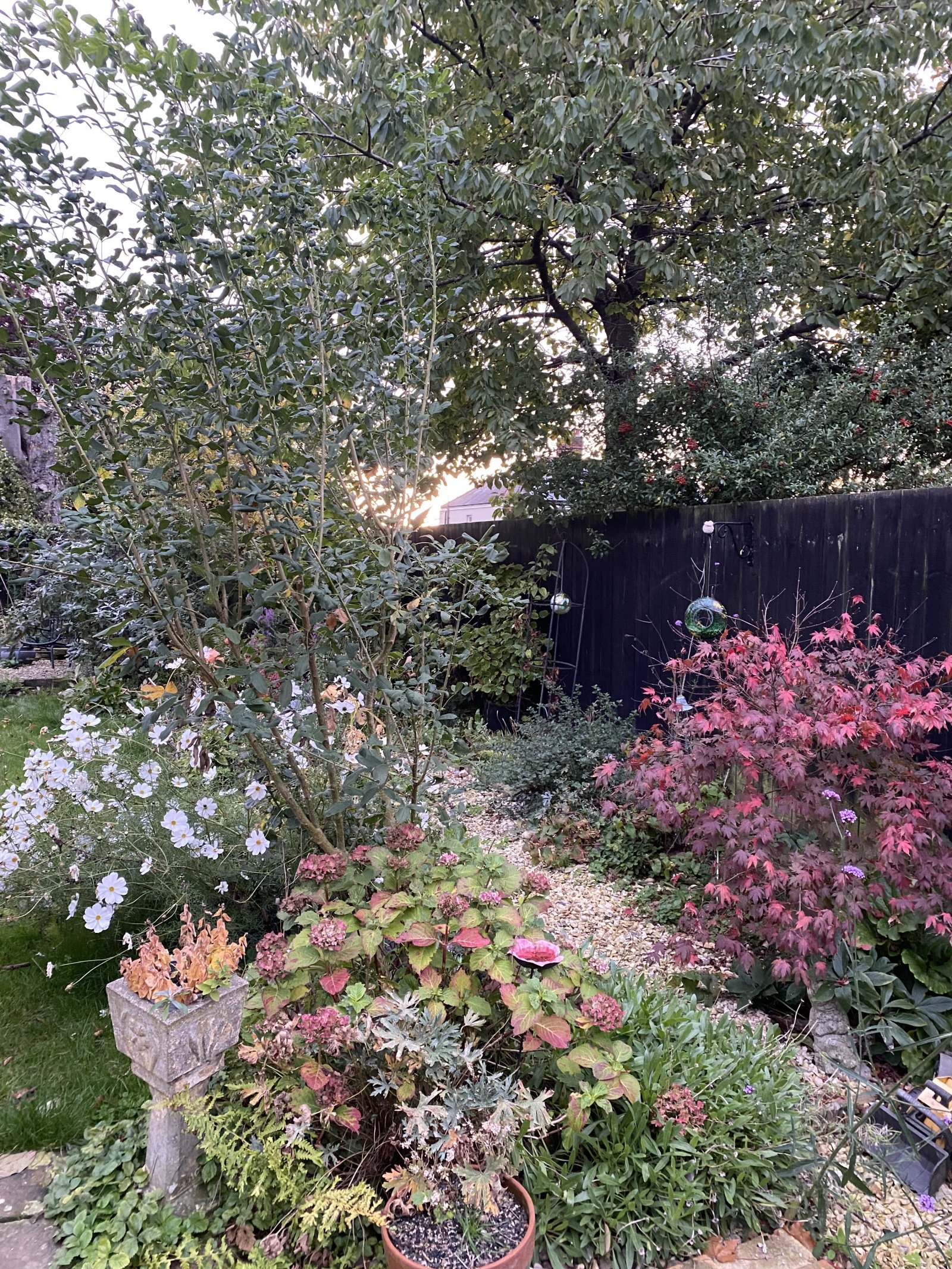 Image: https://us-noi.v-cdn.net/6031891/uploads/editor/6i/9t91rwbr4dpc.jpeg