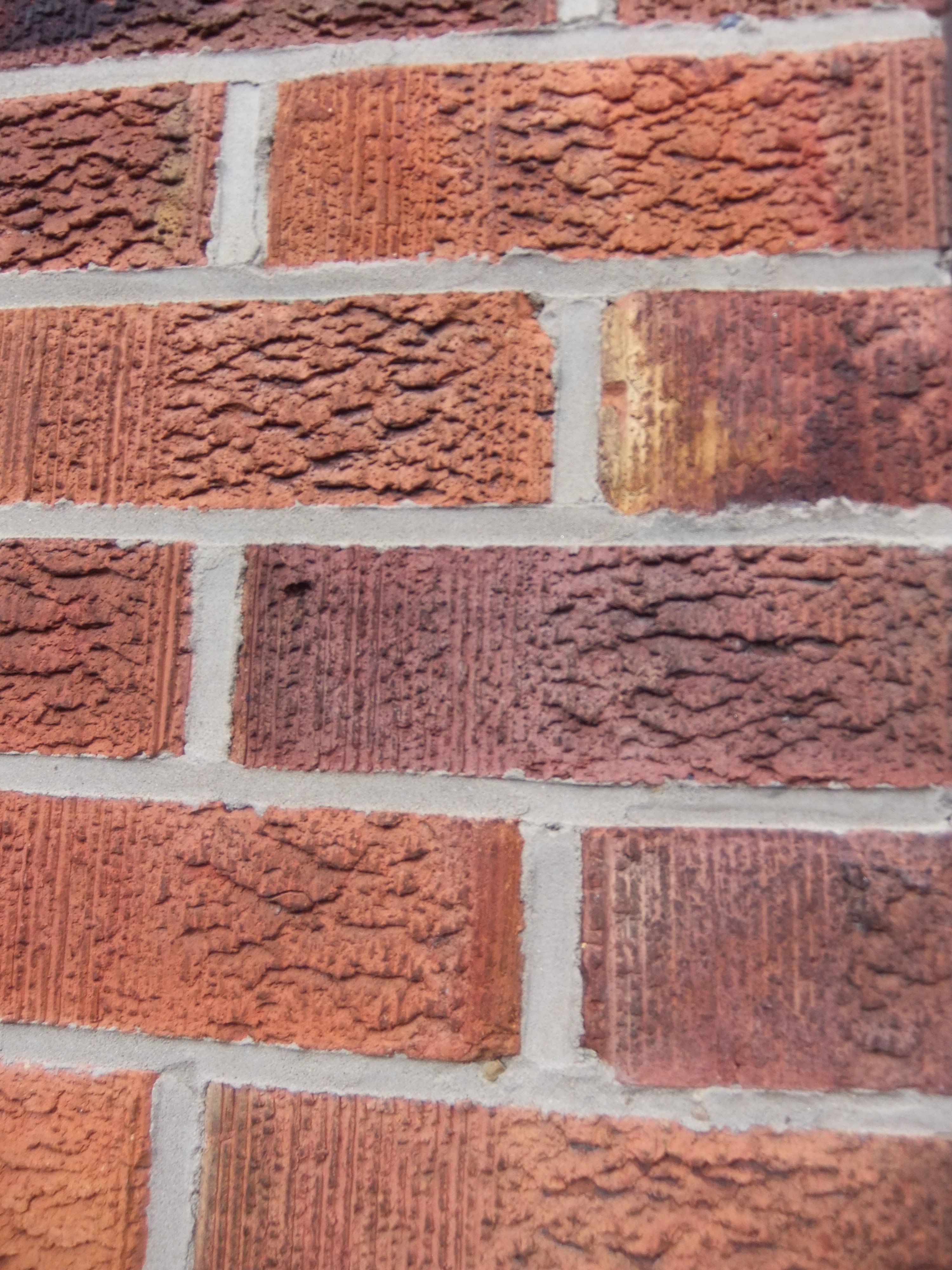 Image: https://us-noi.v-cdn.net/6031891/uploads/editor/6w/0rnvori5l7ot.jpg