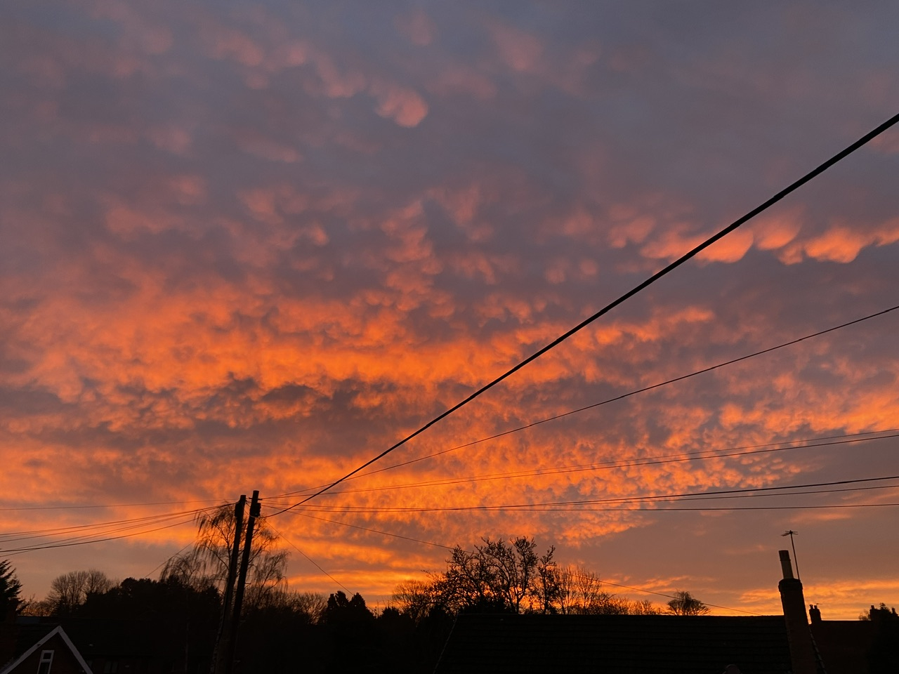 Image: https://us-noi.v-cdn.net/6031891/uploads/editor/6w/ofm9l5k22my1.jpeg