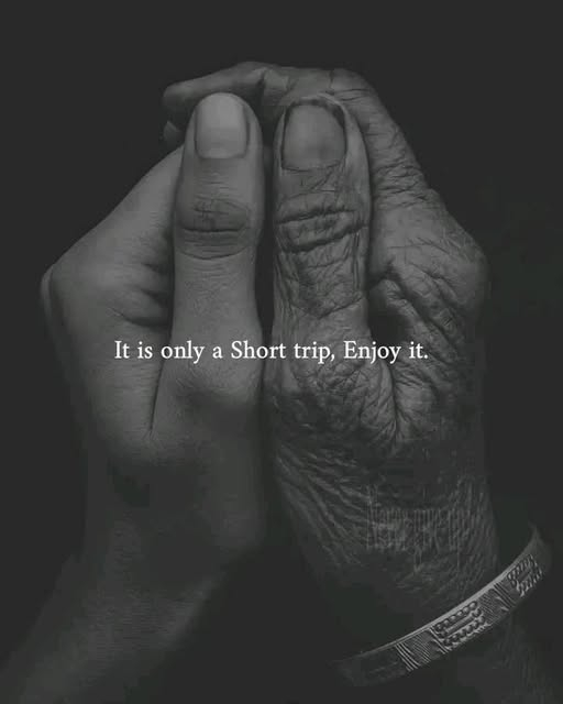 Image: https://us-noi.v-cdn.net/6031891/uploads/editor/7f/ltlzatlgqrmv.jpg