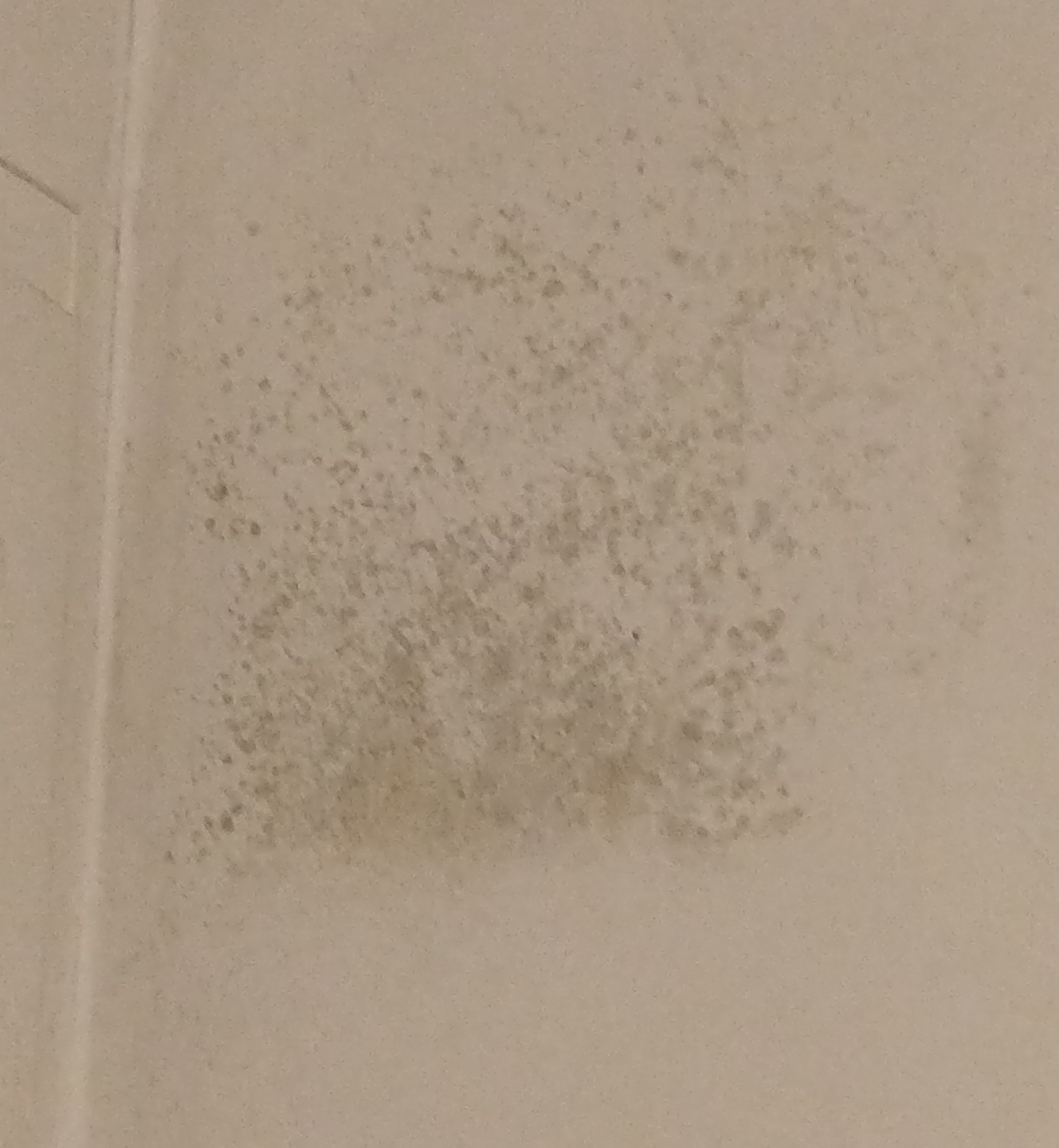 Image: https://us-noi.v-cdn.net/6031891/uploads/editor/8k/9yruj8xztvry.jpg