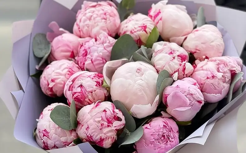 Image: https://us-noi.v-cdn.net/6031891/uploads/editor/8l/3qs2964mcym8.png
