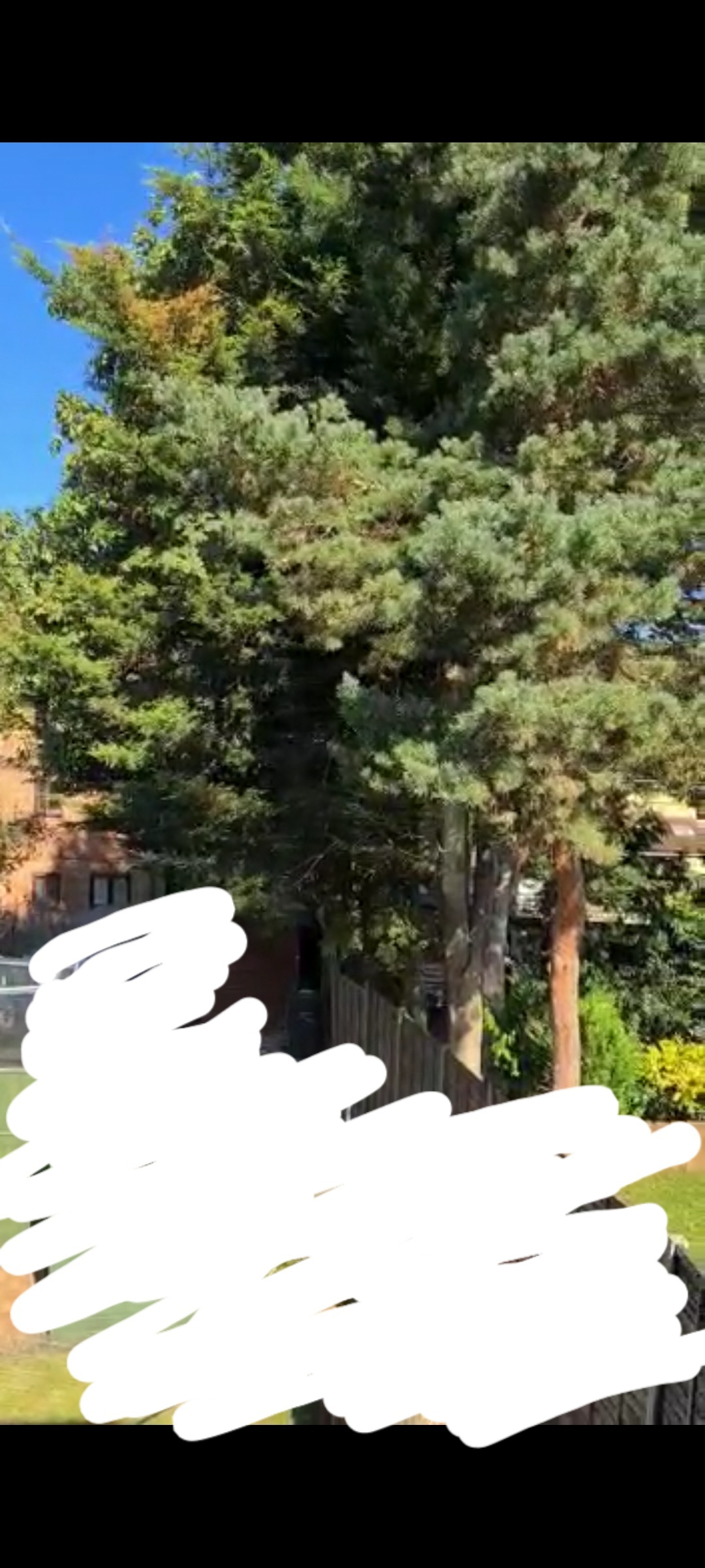 Image: https://us-noi.v-cdn.net/6031891/uploads/editor/99/i9vms63gg7h1.jpg