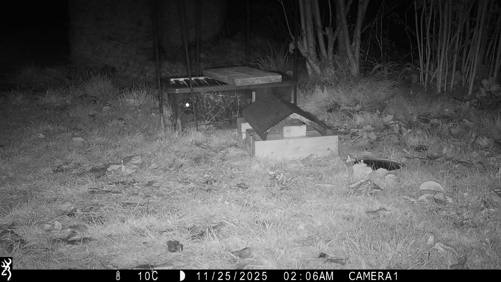 Image: https://us-noi.v-cdn.net/6031891/uploads/editor/9c/ptdfblf6ah1j.jpg