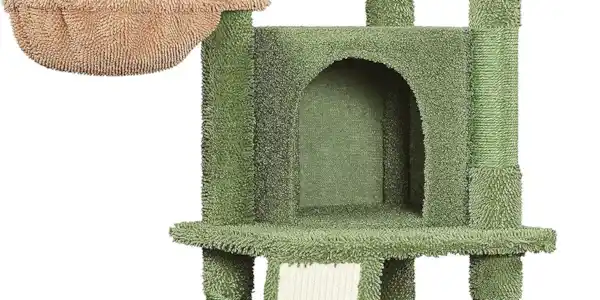 Image: https://us-noi.v-cdn.net/6031891/uploads/editor/9o/tx5ndnxhf7ka.png