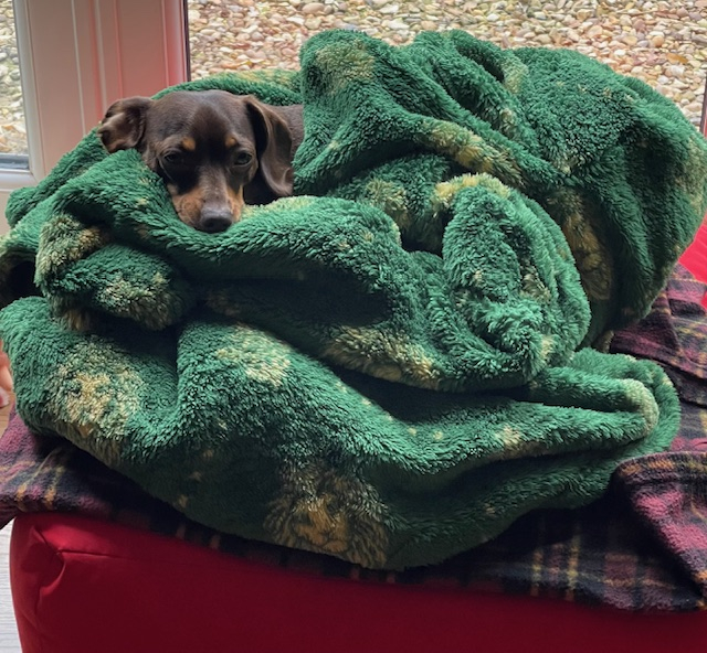 Image: https://us-noi.v-cdn.net/6031891/uploads/editor/9u/yiehtte1lmkh.jpeg