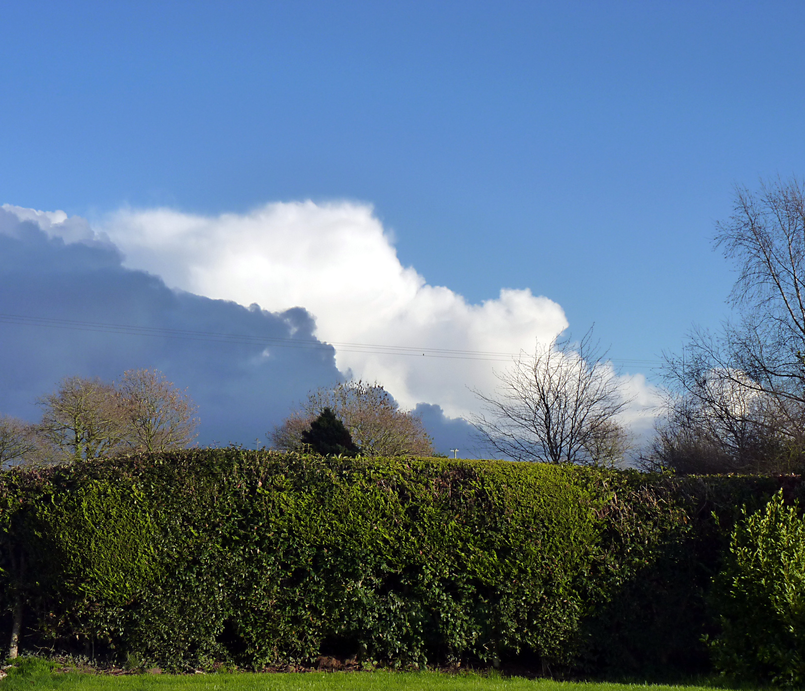 Image: https://us-noi.v-cdn.net/6031891/uploads/editor/a6/x25tx8nyu41e.jpg