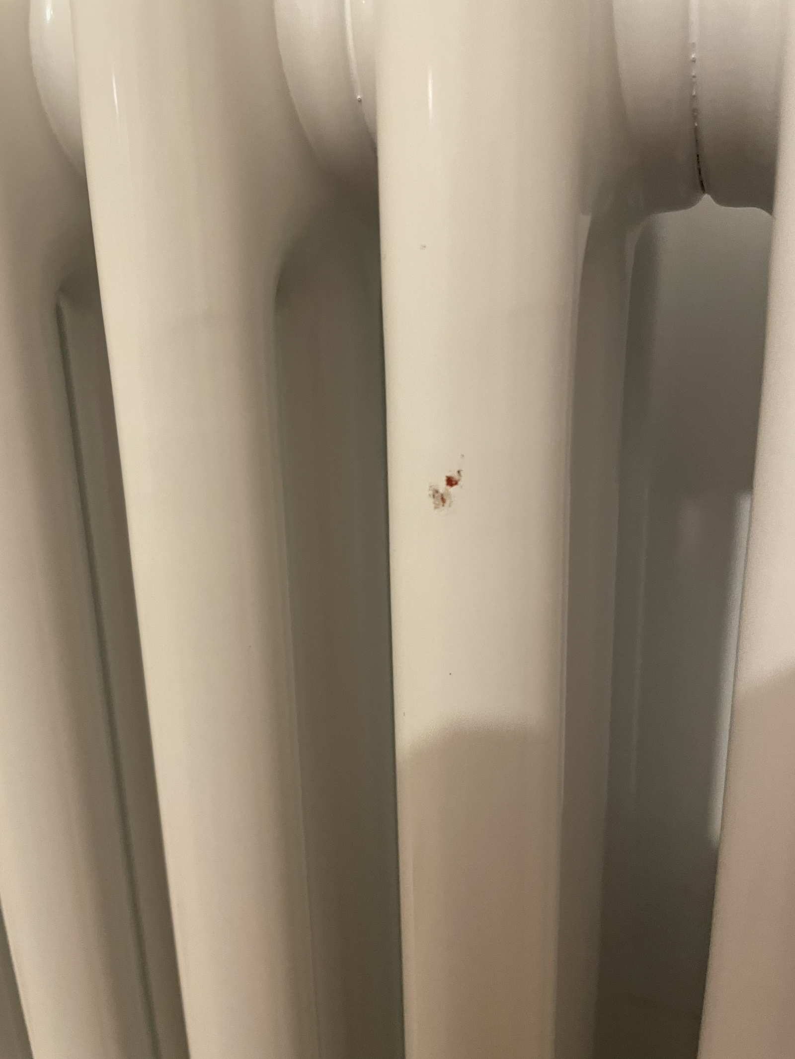 Chipped Radiator Chipped radiator installed by heating engineer — MoneySavingExpert Forum