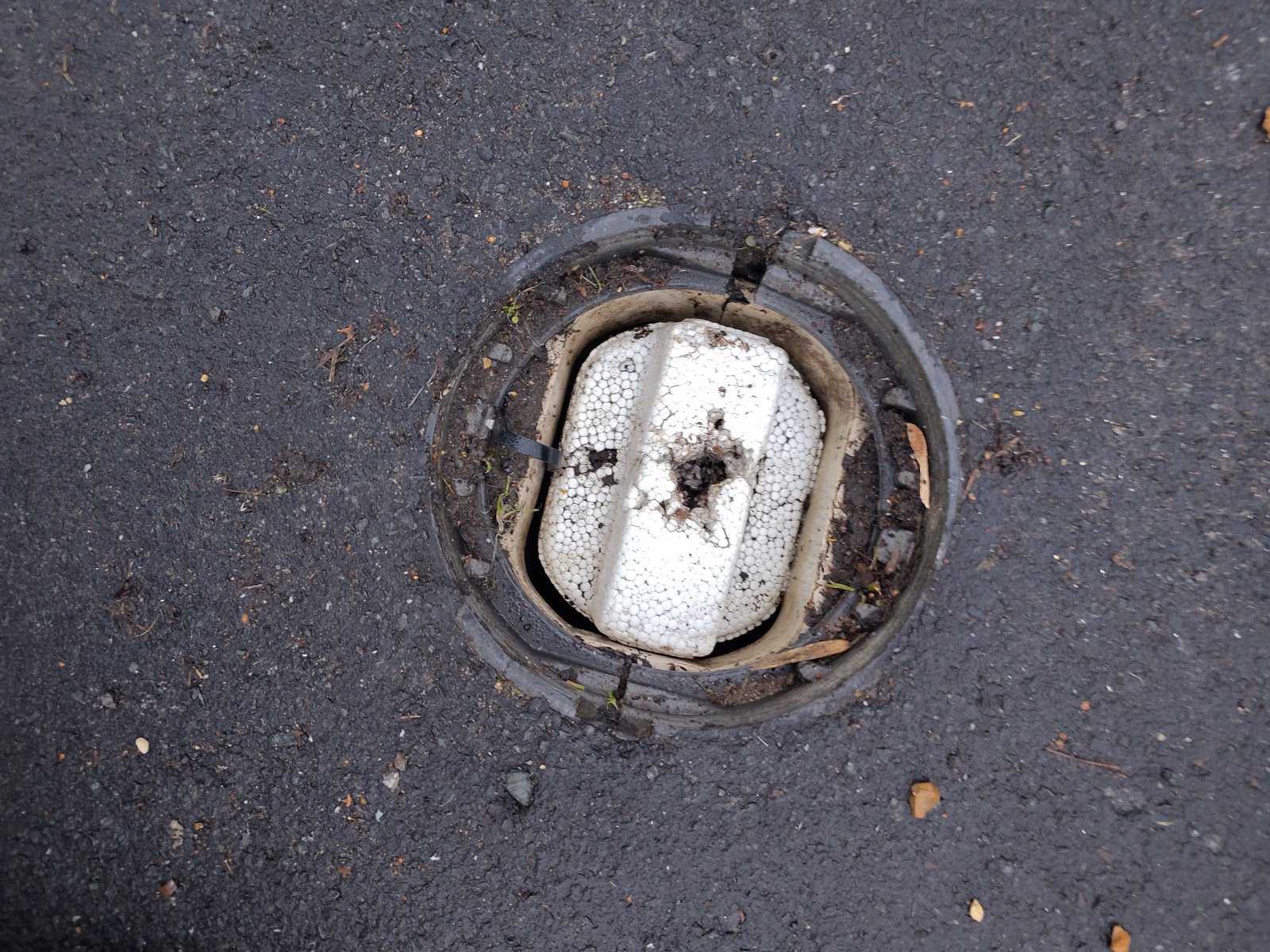 Image: https://us-noi.v-cdn.net/6031891/uploads/editor/as/ip8p5v9xxf39.jpg