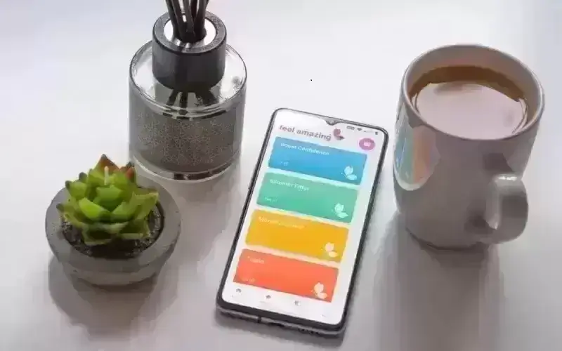 Image: https://us-noi.v-cdn.net/6031891/uploads/editor/av/bepqaom89yl3.png