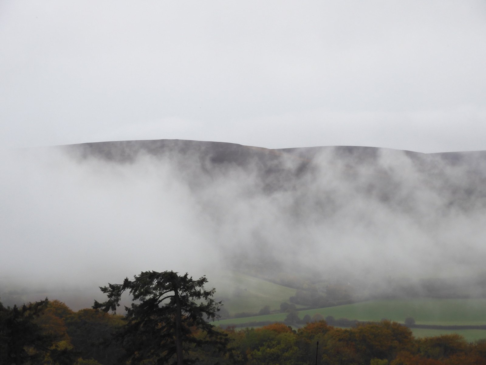 Image: https://us-noi.v-cdn.net/6031891/uploads/editor/b3/h4v3zehrmysk.jpg