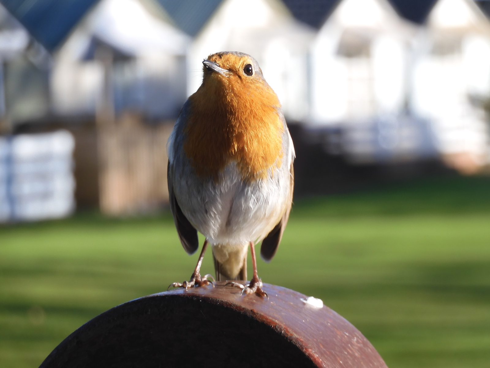 Image: https://us-noi.v-cdn.net/6031891/uploads/editor/b7/oarclopcjix4.jpg