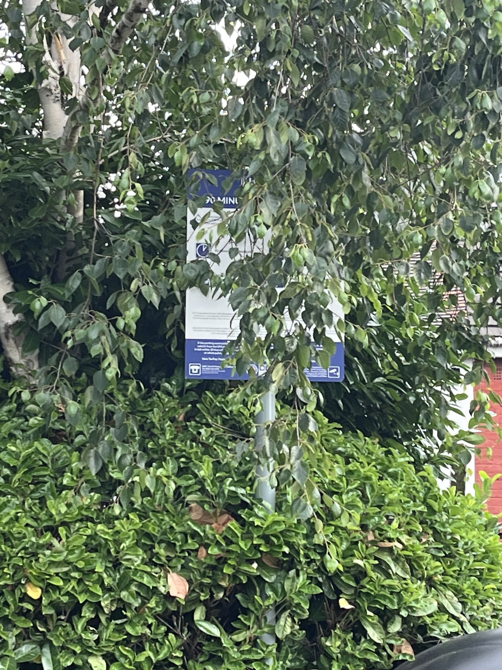 Image: https://us-noi.v-cdn.net/6031891/uploads/editor/bf/55j25jb1abgo.jpeg