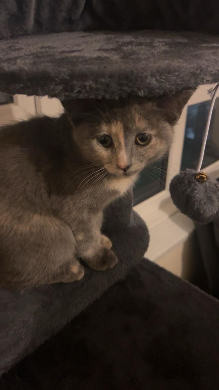 Image: https://us-noi.v-cdn.net/6031891/uploads/editor/bg/w3tdelc1yina.jpeg