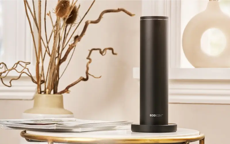 Image: https://us-noi.v-cdn.net/6031891/uploads/editor/bm/mbwmqo5v48bf.png