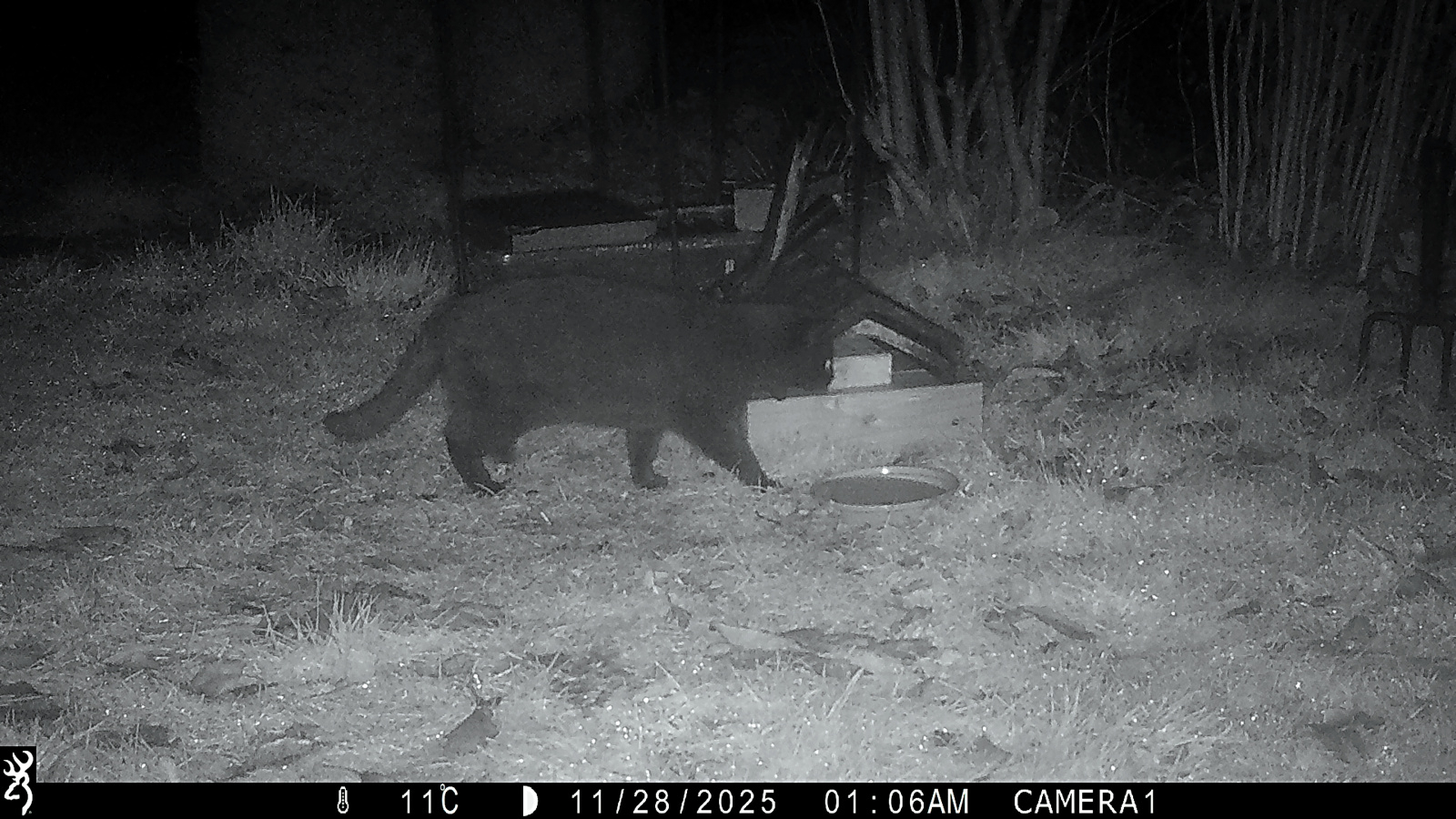 Image: https://us-noi.v-cdn.net/6031891/uploads/editor/c3/gwa6spif19oa.jpg