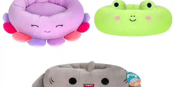 Image: https://us-noi.v-cdn.net/6031891/uploads/editor/c7/usxtsgj7vse5.png