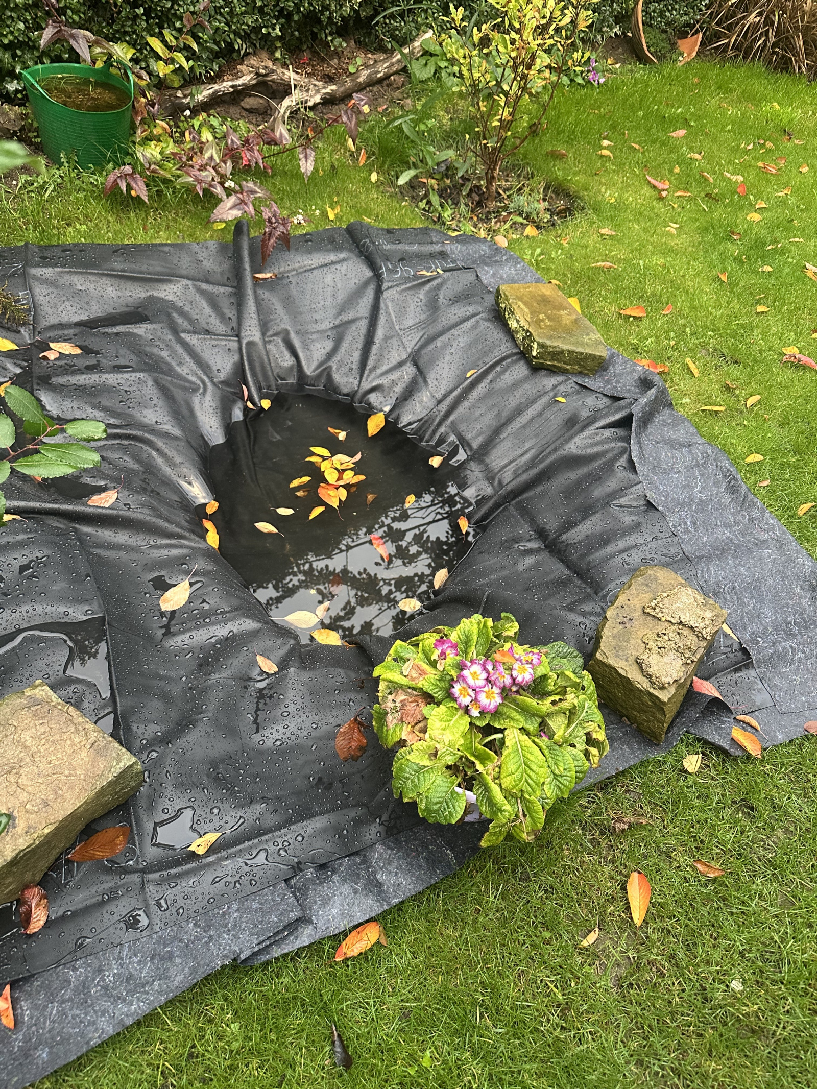 Image: https://us-noi.v-cdn.net/6031891/uploads/editor/c8/vh7xcr3b7exr.jpeg