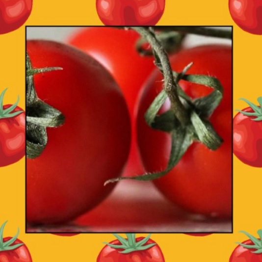 Image: https://us-noi.v-cdn.net/6031891/uploads/editor/cl/jprb3xw7dbp5.jpg