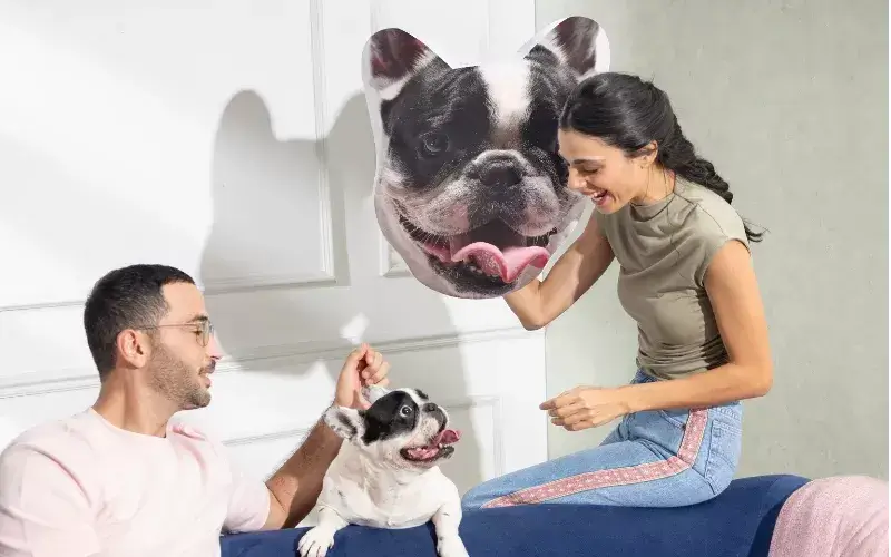 Image: https://us-noi.v-cdn.net/6031891/uploads/editor/d9/hd115rf715vf.png